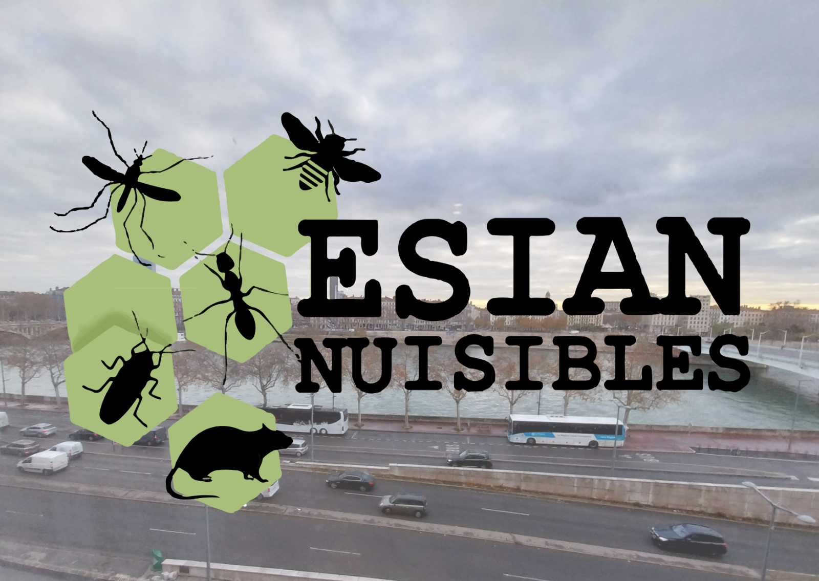 Conseils pour bien identifier les signes d’une infestation de punaises de lit dans les rideaux d’une chambre ou d’un salon à Givors dans le Rhône 69700 près de Grigny