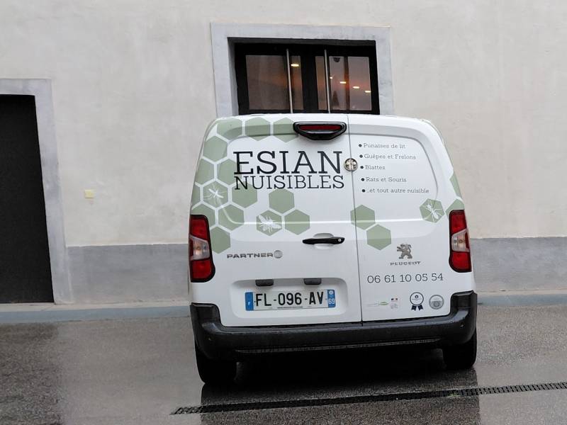 dératiseur professionnel à Bron près de Lyon pour professionnels et particuliers dératisation rapide efficace