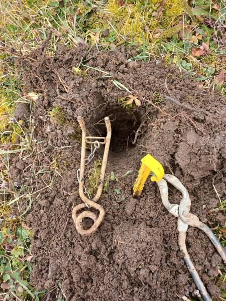 Tarifs pour intervention professionnelle et rapide contre les taupes dans un jardin de Chaponost près de Lyon dans le Rhône