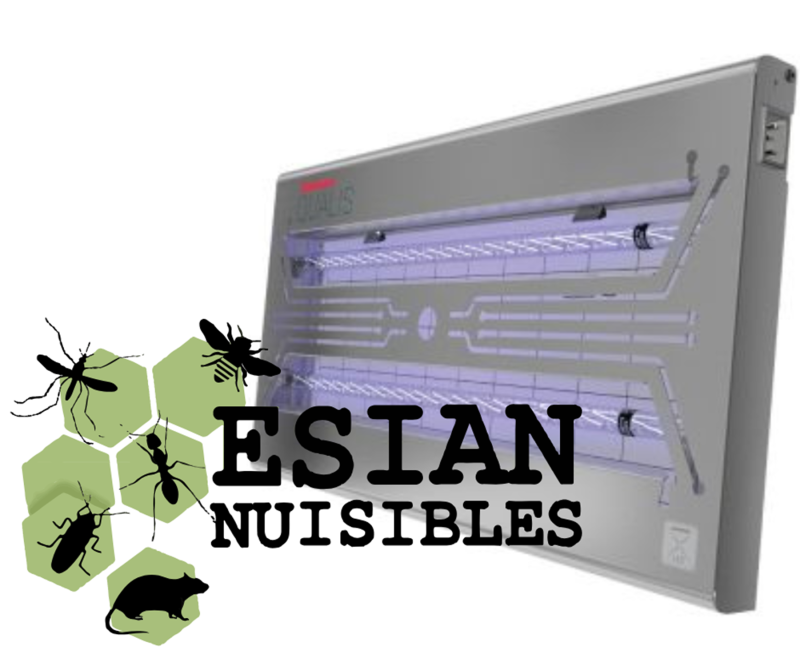 Extermination des insectes volants, mouches, moucherons et drosophiles pour les restaurants à Décines, près de Lyon