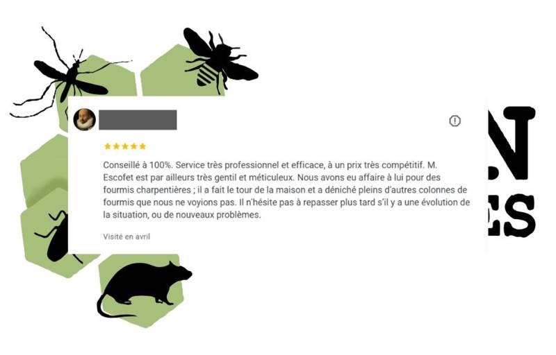 Traitement en deux passages contre les fourmis charpentières à Grézieu La Varennes près de Lyon dans le Rhône