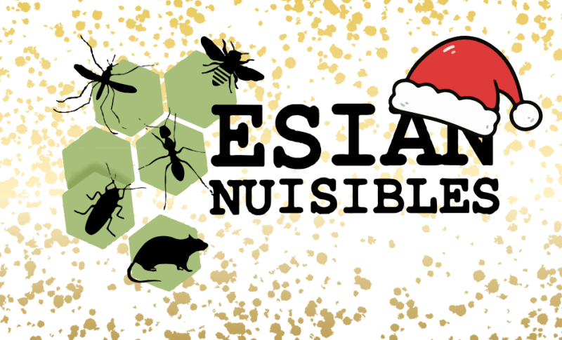 traitement chimique professionnel contre les punaises de lit à Dardilly près de Lyon