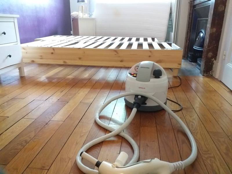 ESIAN Nuisibles propose des traitements chimiques en trois passages contre les punaises de lit aux régies de Lyon, Givors et Villefranche Sur Saône