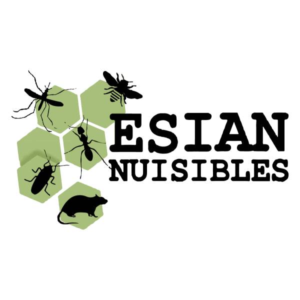 Site ESIAN Nuisibles pour les particuliers. Lutte contre les nuisibles punaises de lit, guêpes, frelons, rongeurs à Lyon et aux alentours