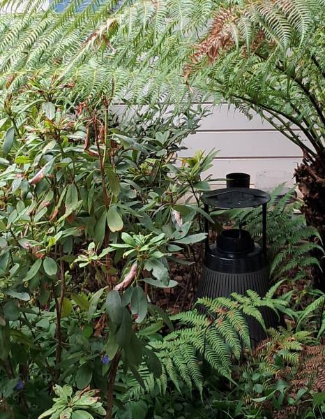 ESIAN Nuisibles propose des solutions contre tous types de nuisibles à tous les professionnels de Lyon et du Rhône, régies, syndics de copropriété, bailleurs.