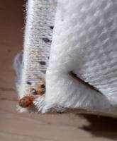 Notre zone d'activité pour ce service Conseils pour bien identifier les signes d’une infestation de punaises de lit dans les rideaux d’une chambre ou d’un salon à