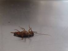 Nos prestations sur le secteur de Givors dans le Rhône 69700 près de Grigny