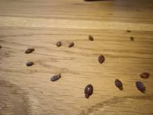 Nos prestations sur le secteur de Villefranche-sur-Saône dans le Beaujolais près de Genay