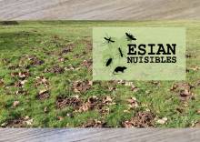 Nos prestations sur le secteur de Lyon 69 en Rhône-Alpes près de Villeurbanne