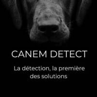 Canem Detect et ESIAN Nuisibles travaillent régulièrement ensemble à Lyon et dans le Rhône pour lutter efficacement contre les punaises de lit.