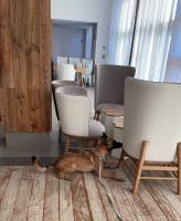 Notre zone d'activité pour ce service Traitement professionnel contre les punaises de lit avec contrôle post-intervention dans des locaux commerciaux ou résidentiels de grande superficie à