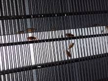 Notre zone d'activité pour ce service Éliminer les bruits de grattement causés par des rongeurs dans un mur avec diagnostic précis et rapide à